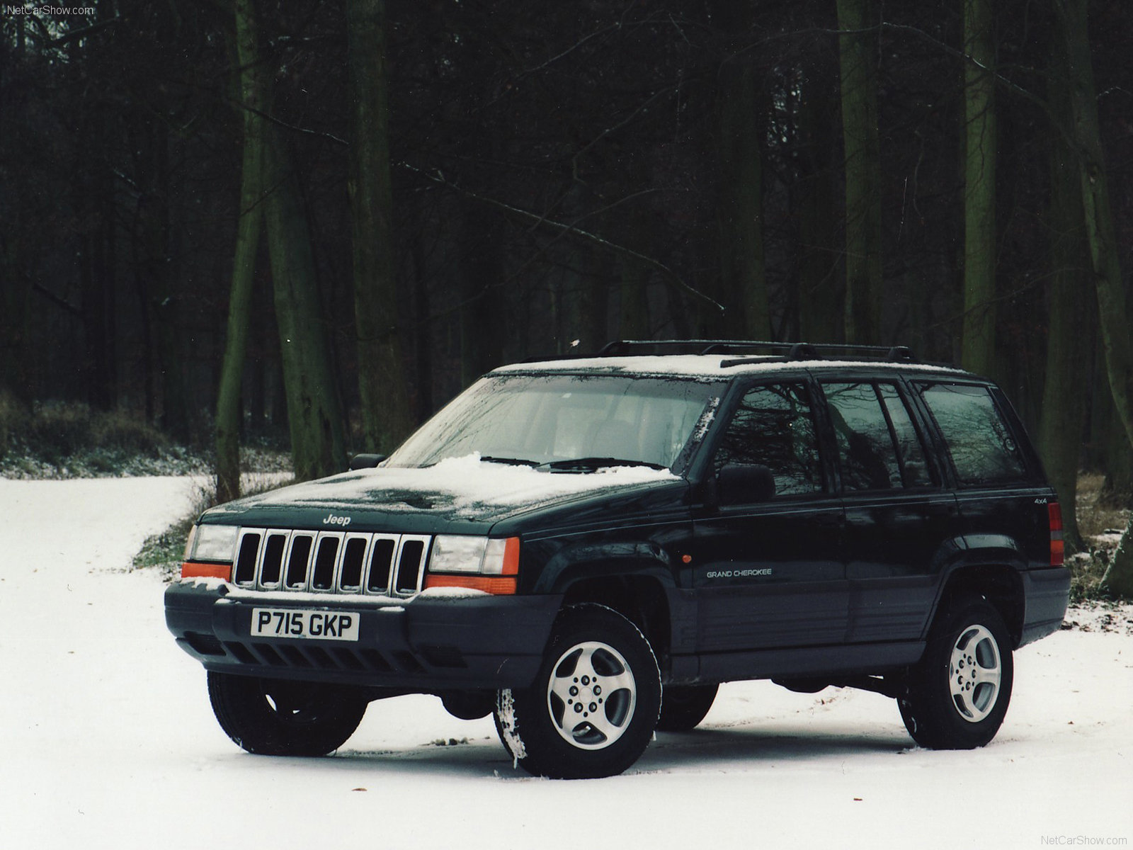 Grand Cherokee side profile, reed beds